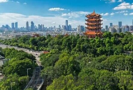 91麻豆啪啪啪视频-探秘网络内容之下的多元文化视角