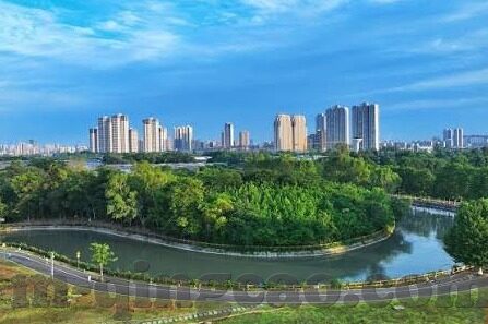 麻豆91精品91久久久久久-麻豆91精品，释放内心深处的艺术与想象力