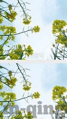 麻豆传媒视频下载-麻豆传媒视频，数字时代的娱乐与信息的交汇点