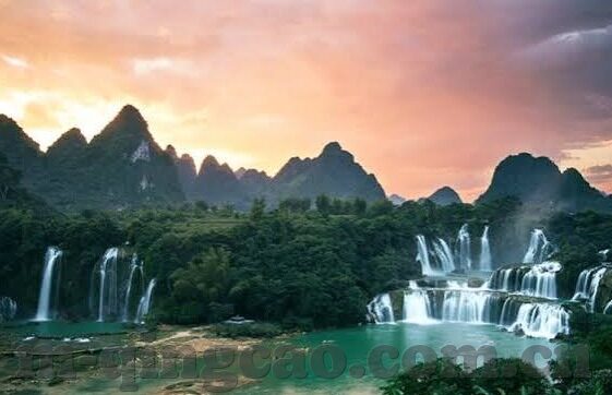 麻豆国产app-麻豆风采，国产APP的独特魅力与前景探索