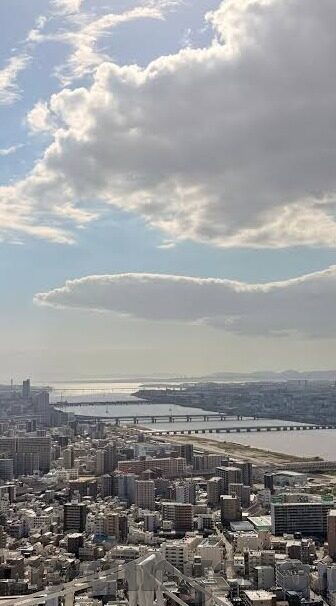 麻豆经纪视频-麻豆经济新视界，经纪视频的崛起与影响