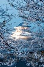 人妻中文字幕网站-探寻网络文化的多元视角，人妻中文字幕网站的背后故事