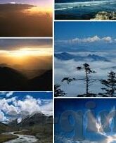 糖心app免登录下载-掌握隐私，远离糖心app免登录下载的陷阱