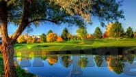 中文字幕在线观看亚洲日韩-探索多元文化视角下的中文字幕在线观看，日韩影视的魅力